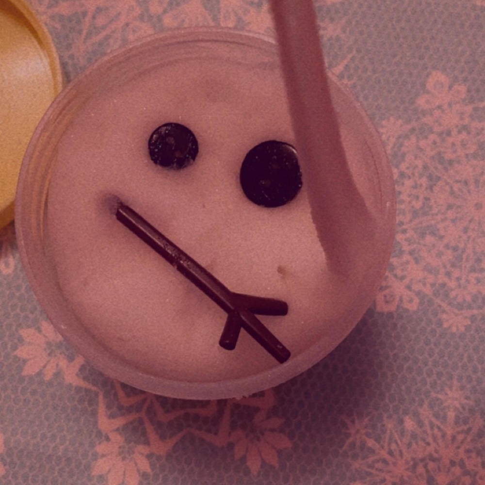 Snow man frost